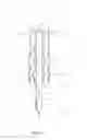 Fig. 03 - Bilateral Frontal Sinus Device