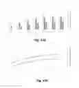 Fig. 10 - CATHETER WITH ASYMMETRIC CROSS-SECTION