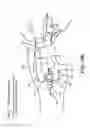Fig. 17 - Catheter connection and stabilization device and methods of using same