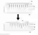 Fig. 01 - Flexible microneedle for dental material delivery and method of manufacturing the same