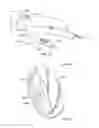 Fig. 40 - Systems for increasing a delay in the gastric emptying time for a patient using a transcutaneous electro-dermal patch