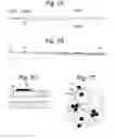 Fig. 08 - Apparatus and methods for assisted breathing by transvascular nerve stimulation