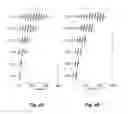 Fig. 03 - Interaural coherence based cochlear stimulation using adapted envelope processing