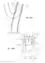 Fig. 13 - INTRA-ORAL LIGHT-THERAPY APPARATUSES AND METHODS FOR THEIR USE