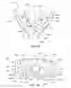 Fig. 71 - INTRA-ORAL LIGHT-THERAPY APPARATUSES AND METHODS FOR THEIR USE