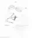 Fig. 01 - BRAIN TO BRAIN INTERFACE SYSTEM APPLIED TO SINGLE BRAIN