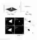 Fig. 10 - Focused ultrasound split-foci control using spherical-confocal-split array with dual frequency of fundamental and harmonic superimposition