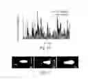 Fig. 11 - Focused ultrasound split-foci control using spherical-confocal-split array with dual frequency of fundamental and harmonic superimposition