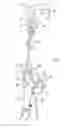 Fig. 05 - Multipurpose device for use with a rope