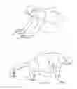 Fig. 11 - Multipurpose fitness apparatus and method for assembly