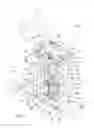 Fig. 03 - ELLIPTICAL EXERCISER