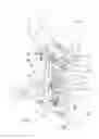 Fig. 07 - ELLIPTICAL EXERCISER