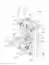 Fig. 08 - ELLIPTICAL EXERCISER