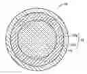Fig. 01 - Golf balls having a center with surrounding foam outer core layer