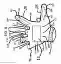 Fig. 09 - Sport gloves