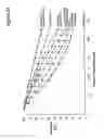 Fig. 03 - Mutated immunoglobulin-binding protein