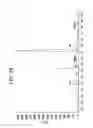 Fig. 10 - Mutated immunoglobulin-binding protein
