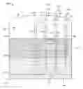 Fig. 01 - Recovering a hydrocarbon fluid