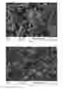 Fig. 03 - Process for producing a calcium phosphate reactant, reactant obtained and use thereof in the purification of liquid effluents
