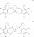 Fig. 101 - CATALYSTS FOR EPOXIDE CARBONYLATION
