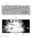Fig. 04 - Device for the separation of particles using a bulk acoustic wave field