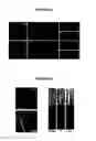 Fig. 25 - Systems and methods for particle focusing in microchannels