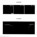 Fig. 35 - Systems and methods for particle focusing in microchannels