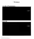 Fig. 47 - Systems and methods for particle focusing in microchannels