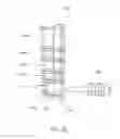 Fig. 71 - Apparatus and methods for integrated sample preparation, reaction and detection
