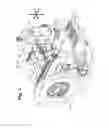 Fig. 02 - Machine tool, in particular multi-spindle milling machine