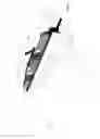 Fig. 02 - TABLE SAW FENCE HOLD DOWN DEVICE