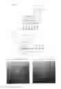 Fig. 05 - METHOD FOR REMOVING MOLD RELEASE AGENT AND TIRE