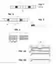 Fig. 02 - System and method for bending a hollow core sheet using rods