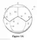 Fig. 02 - Sport ball casing and methods of manufacturing the casing