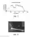 Fig. 07 - LAYERED GLASSY PHOTOSENSITIVE ARTICLE AND METHOD OF MAKING