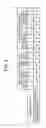 Fig. 07 - Printer, printing method, and non-transitory recording medium