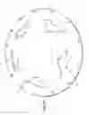 Fig. 07 - Spinner for vehicle wheel