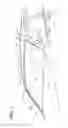 Fig. 02 - Window trim for use with a fixed window of a vehicle