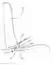 Fig. 01 - Rotatable anchors providing enhanced child restraint system interface accessibility