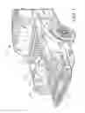 Fig. 02 - Locking cargo tie-down