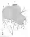 Fig. 09 - Airbag device