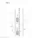 Fig. 09 - MOVEMENT-ASSISTING DEVICE
