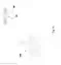 Fig. 17 - Device for moving or removing artificial satellites