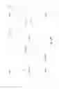 Fig. 24 - Vertically Positioned Horizontally Traversing Plastic Film Bags Opening, Filling and Closing Apparatus Including Vertically Moving Supporting Conveyor