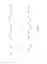 Fig. 25 - Vertically Positioned Horizontally Traversing Plastic Film Bags Opening, Filling and Closing Apparatus Including Vertically Moving Supporting Conveyor