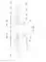 Fig. 37 - Vertically Positioned Horizontally Traversing Plastic Film Bags Opening, Filling and Closing Apparatus Including Vertically Moving Supporting Conveyor