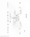 Fig. 43 - Vertically Positioned Horizontally Traversing Plastic Film Bags Opening, Filling and Closing Apparatus Including Vertically Moving Supporting Conveyor