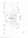 Fig. 44 - Vertically Positioned Horizontally Traversing Plastic Film Bags Opening, Filling and Closing Apparatus Including Vertically Moving Supporting Conveyor