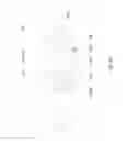 Fig. 46 - Vertically Positioned Horizontally Traversing Plastic Film Bags Opening, Filling and Closing Apparatus Including Vertically Moving Supporting Conveyor