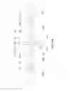 Fig. 35 - Apparatus for Maintaining Tension in a Vertically Positioned Horizontally Traversing Plastic Film Web